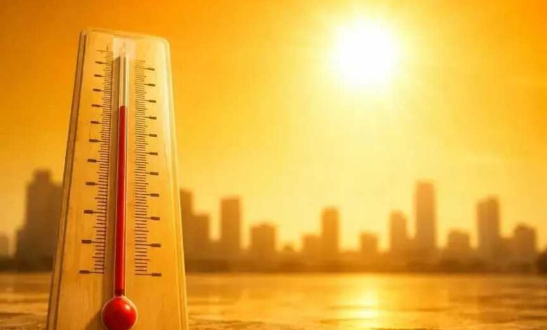 الأرصاد تحذر من طقس شديد الحرارة وارتفاع الأمواج اليوم