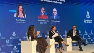 الصناعات التحويلية تدعم نمو الاقتصاد المصري خلال 2025-2026